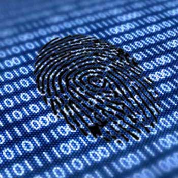 Computer Criminology